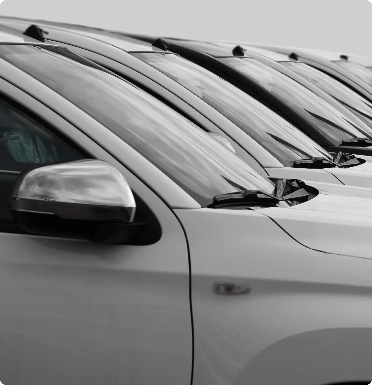 Row of white cars parked closely